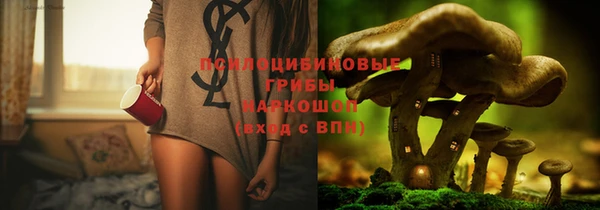 амф Алексеевка