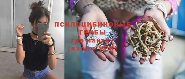прущая мука Абаза